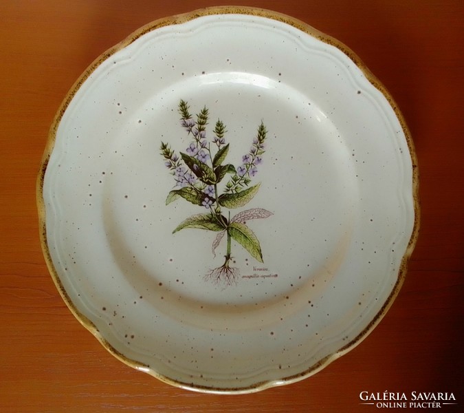 Nice Italian porcelain wall plate with delicate botanical floral pattern (veronica), Latin inscription, marked