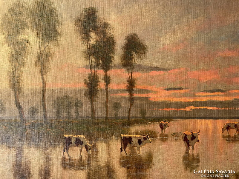 Károly Jakab: herd of cows on the waterfront 80x100cm!!