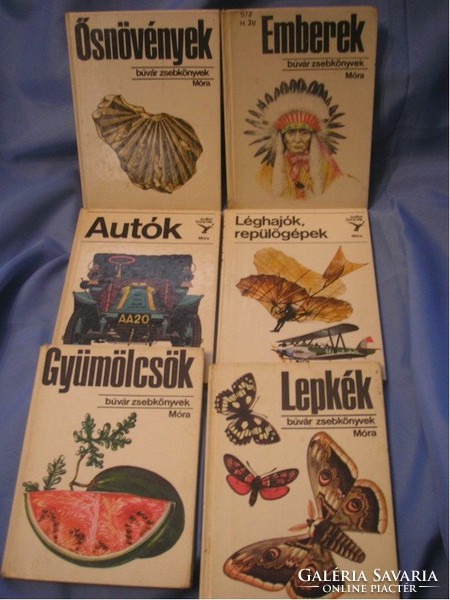 6 Dive Pocket Books - people, cars, airships, fruits, primates, butterflies., For sale