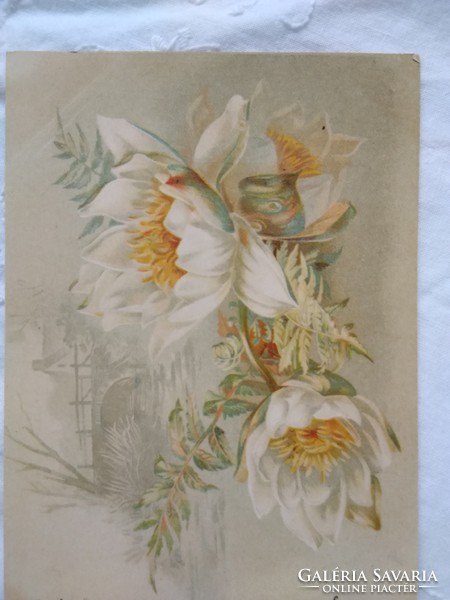 Antique litho / lithographic Art Nouveau floral postcard / greeting card 1899 schmidt edgar dresden-budapest