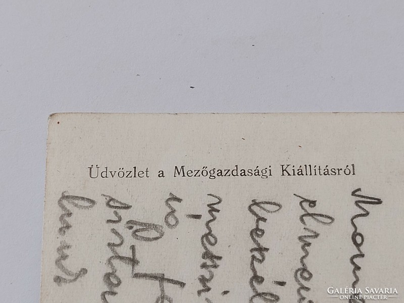 Régi képeslap fotó levelezőlap 1959 Mezőgazdasági Kiállítás