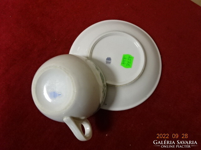 Zsolnay porcelain tea cup + saucer, antique, green border. He has! Jokai.