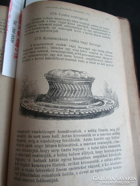 1889 Kepes Budapest nation cookbook - appendix: the home treasure of the Hungarian housewife.