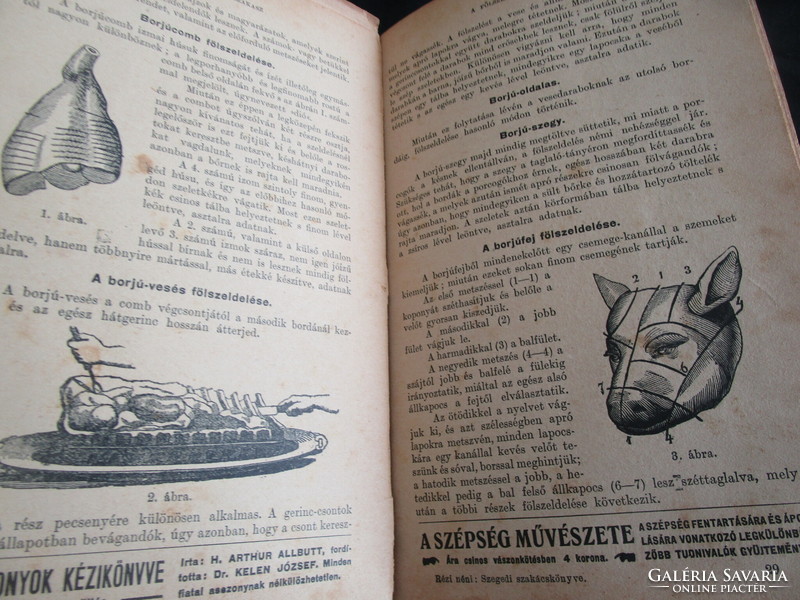 ( Doletsko Teréz ) Rézi néni : Szegedi szakácskönyv ezernél több ételkészítési utasítással 1907