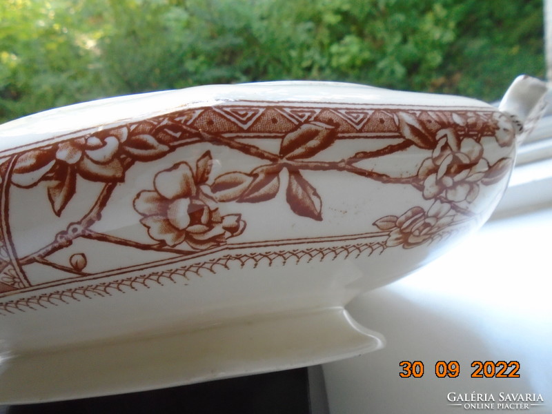 1900 Rn 69165 keeling&co majolica vegetable covered bowl with floral butterfly oriental pattern