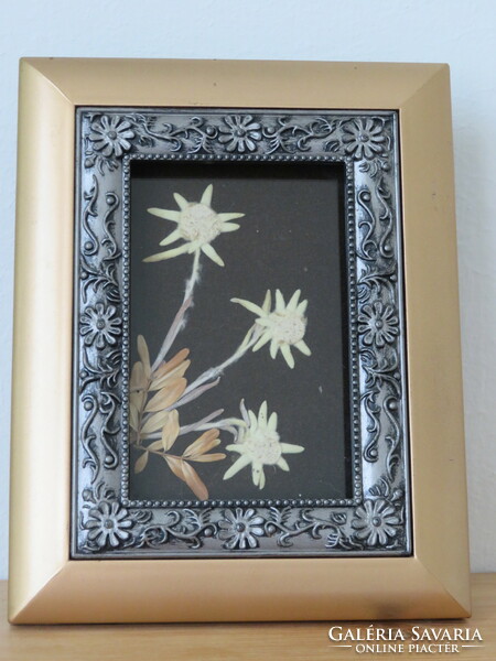 Pressed mountain grass in a golden frame