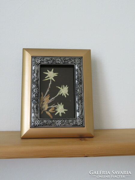 Pressed mountain grass in a golden frame