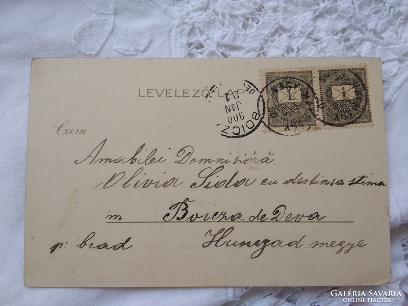 Antique Long Address Art Nouveau Litho / Lithographic Postcard / Greeting Card Carnation, Blue Zinc / Tit 1900