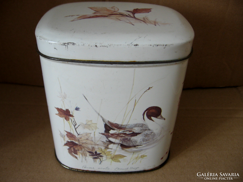 Retro wild duck English tea metal box anas acuta
