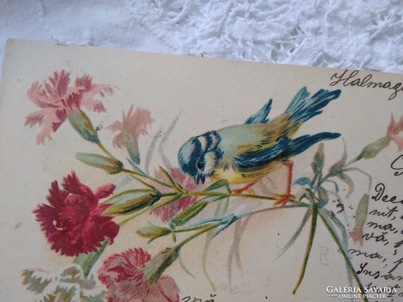 Antik hosszúcímzéses szecessziós litho/litográfiás képeslap/üdvözlőlap szegfű, kék cinke/cinege 1900