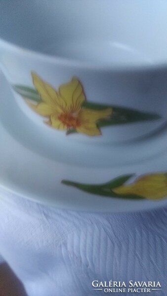Lowland flower tea cup