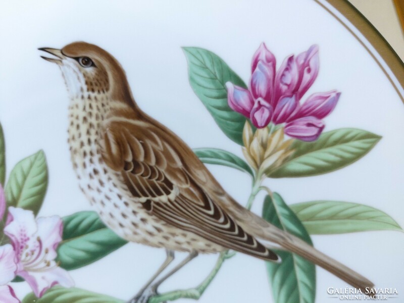 Csodaszép, madarat ábrázoló angol Spode porcelán dísztányér aranyozott széllel