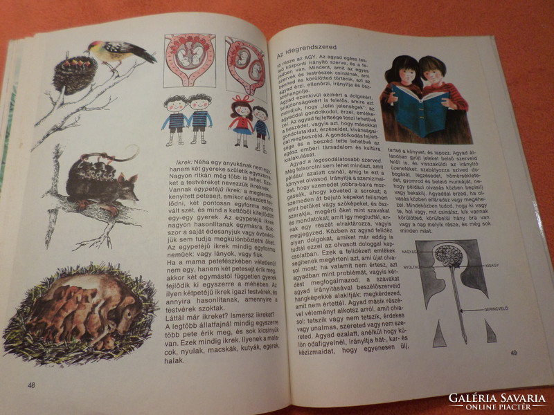 Rare! Dr. V. Balázs anna, this is how I am, inside and out, with the drawings of mercenary vera, 1988