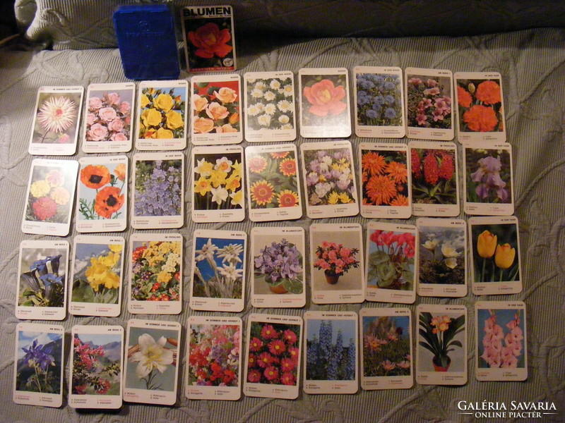 Piatnik blumen flower quartet card game