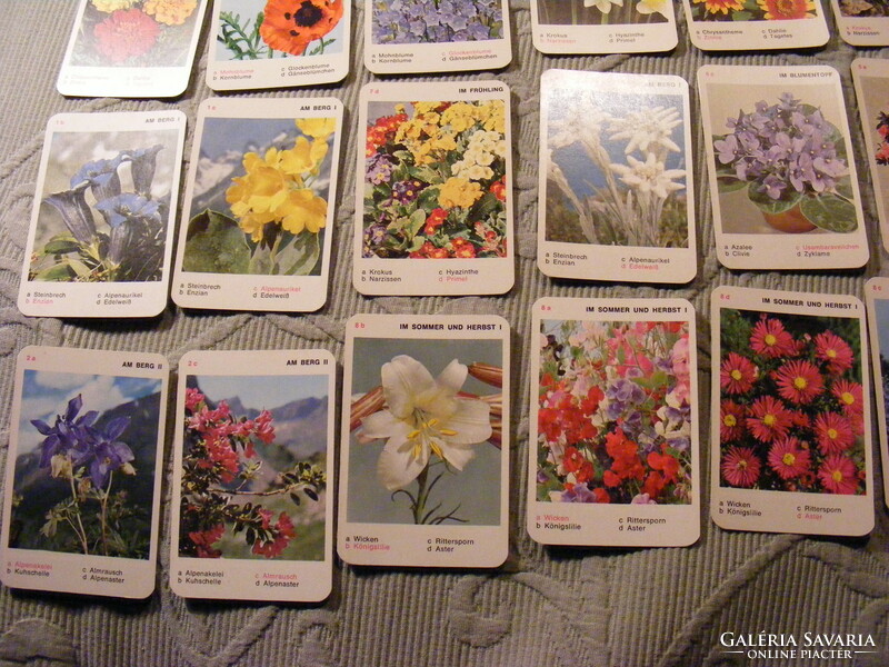 Piatnik Blumen virág kvartett kártyajáték