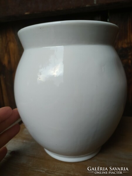 Porcelain vase with a bay