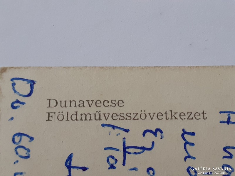 Régi képeslap 1960 Dunavecse Földműves Szövetkezet fotó levelezőlap