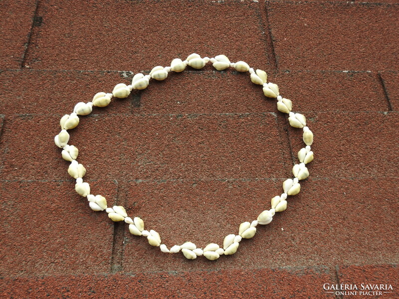 Necklace made of shells