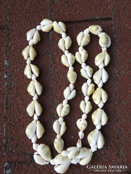 Necklace made of shells