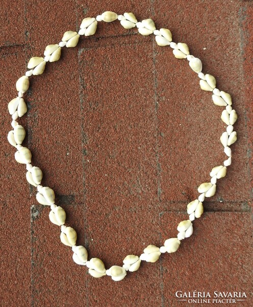 Necklace made of shells