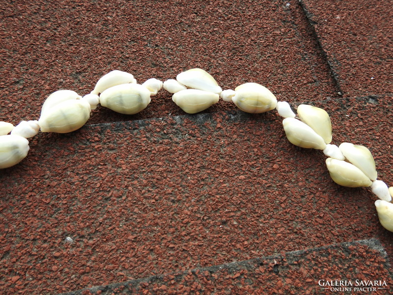 Necklace made of shells