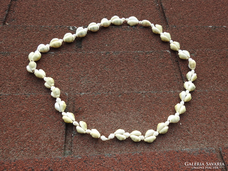 Necklace made of shells