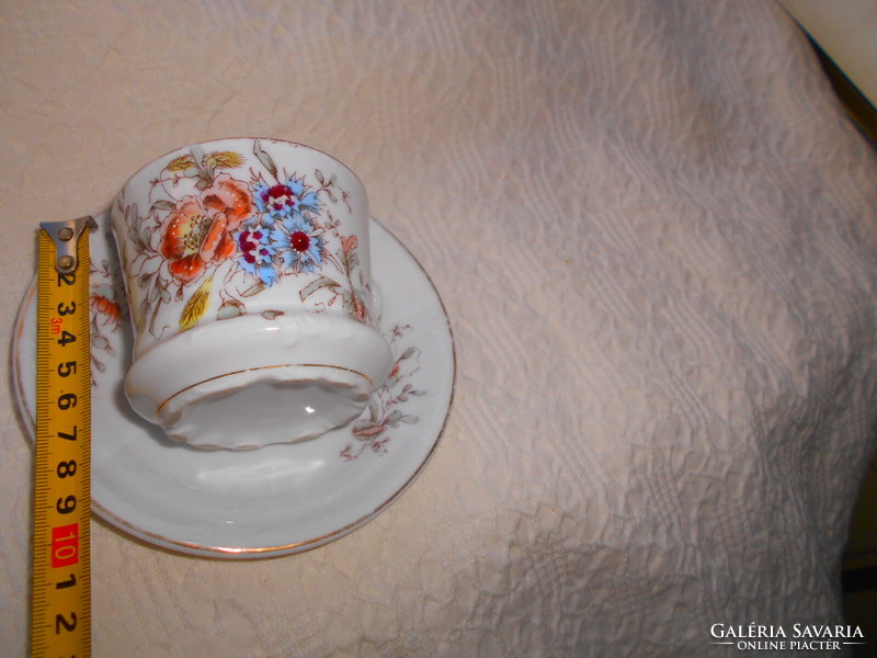 Hand painted porcelain tea cup and saucer