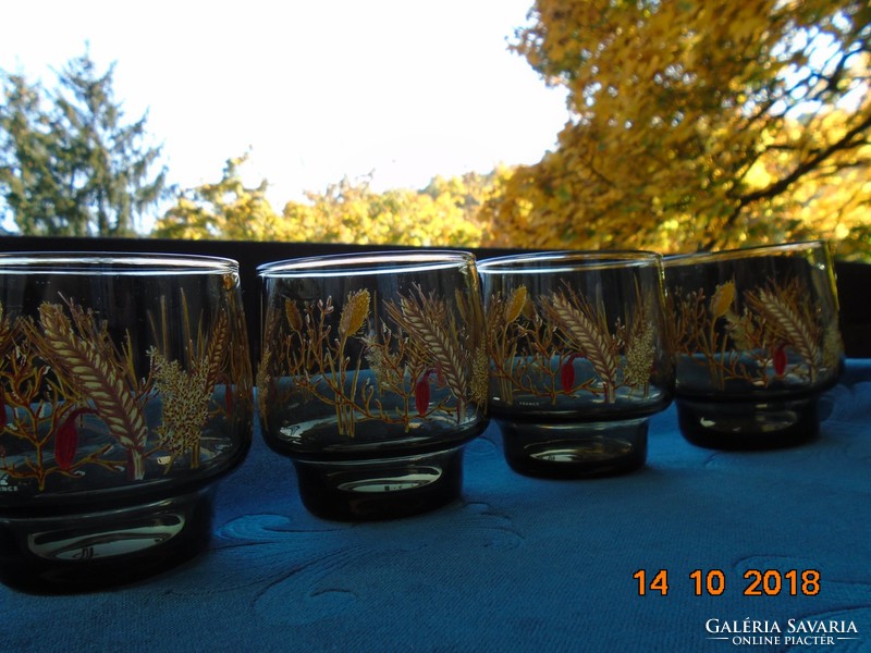 Vintage őszi hangulatú növényi mintával festett francia füstszínú poharak 4 db
