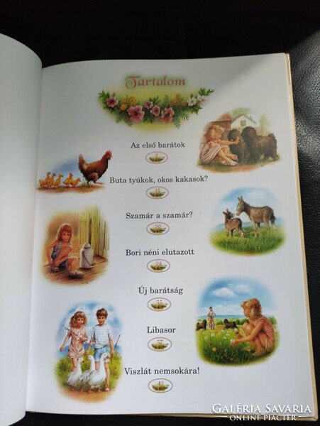 Getting to know animals - storybook.