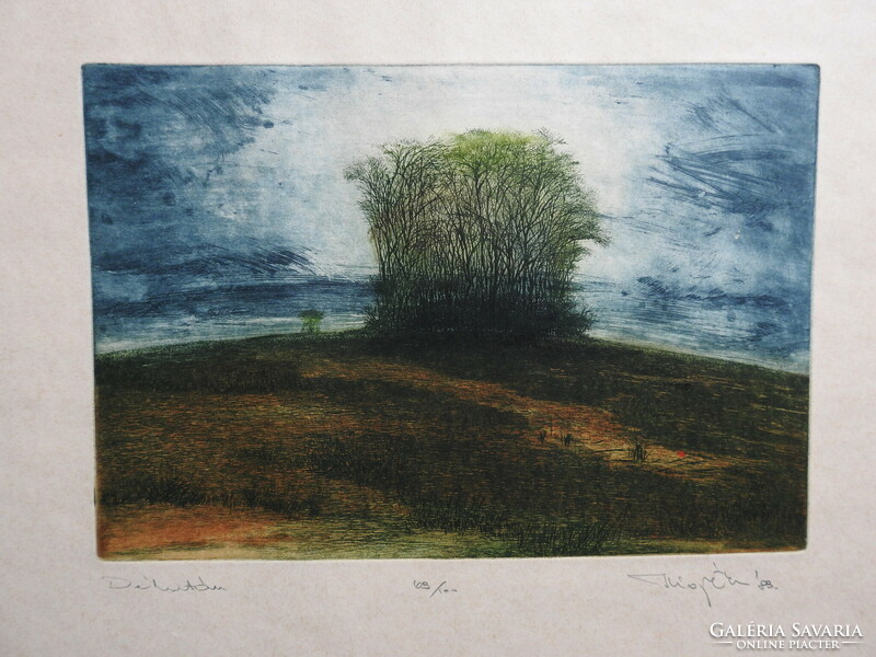 Scultéty year - afternoon - colored etching