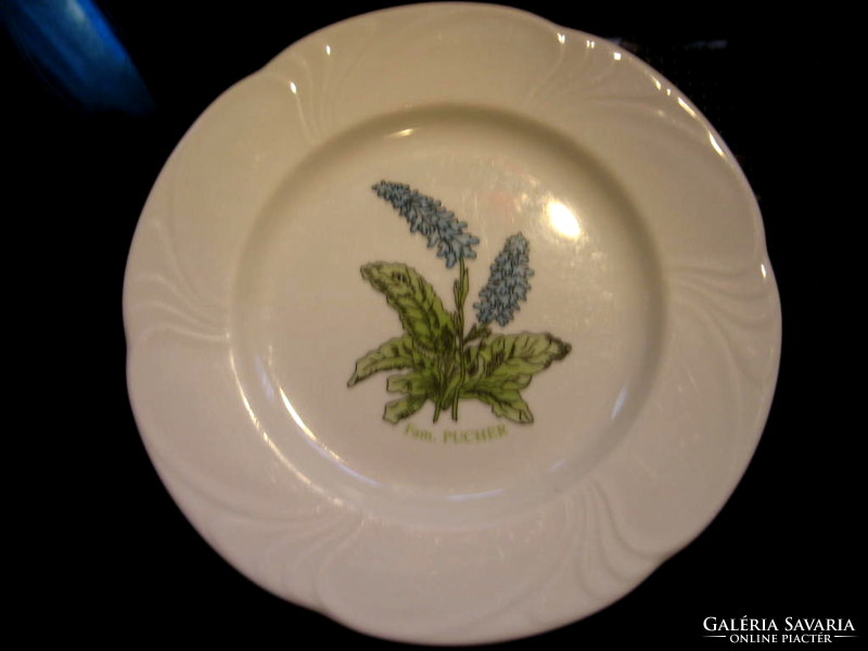 Rare lilien botanical small plate desirée