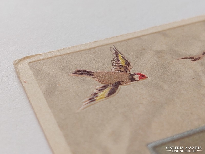 Régi újévi képeslap 1907 vár madár tájképes levelezőlap