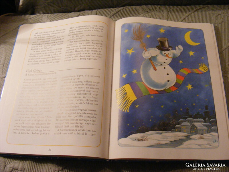 Hópihe karácsony - Füzesi Zsuzsa rajzaival