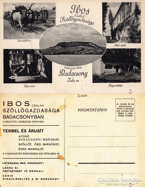 Badacsony Ibos család szőllőgazdasága kb 1930     .Posta van !