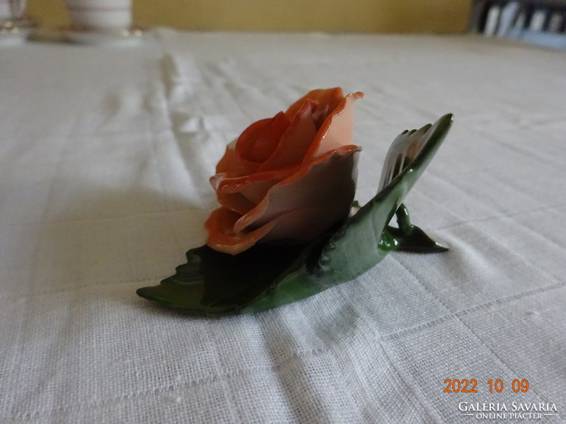 Herendi rózsa 8x8 cm