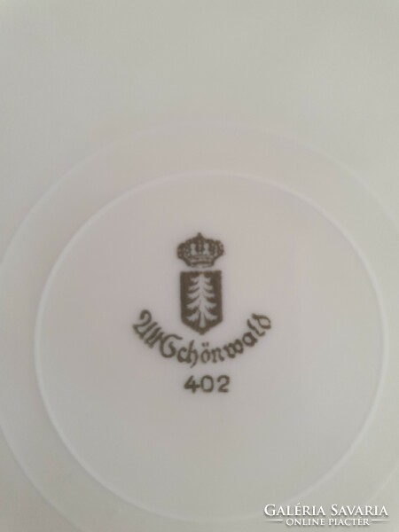 Schönwald plates