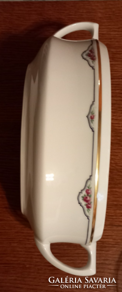Haasczjzek Czechoslovak porcelain bowl