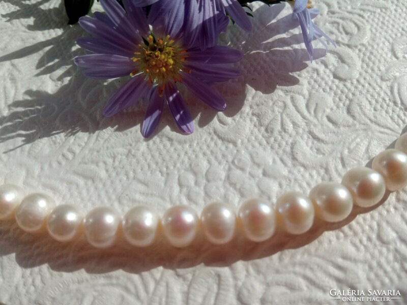 Cultured freshwater pearl necklace with 925 silver clasp
