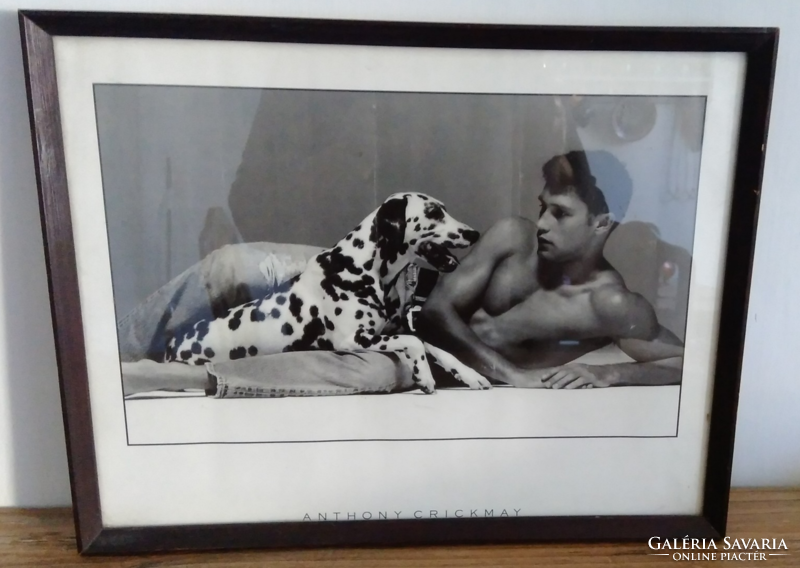 Picture of Anthony crickmay (1937-2020), photographer: man & dog 1989. Poster, in glazed frame