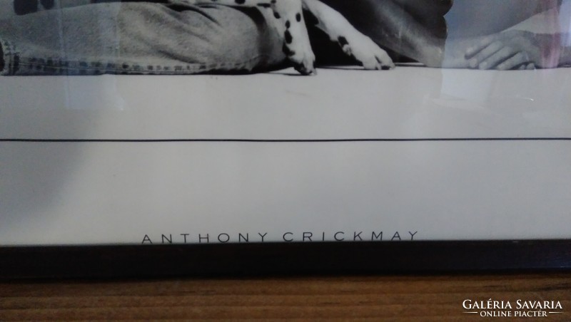 Anthony Crickmay  (1937-2020), fotóművész képe : Ember &kutya 1989.  plakát,üvegezett keretben