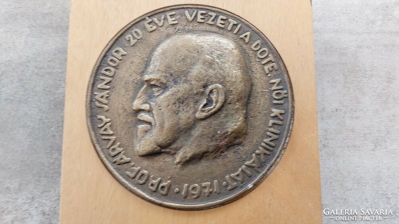 (K) prof. Sándor Árvay (Debrecen clinic, dote) bronze plaque, souvenir rarity