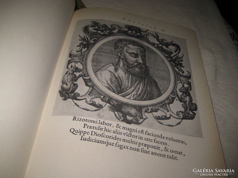 Zsámboki Sambucus  János 1531-1584  az ICONES   reprint