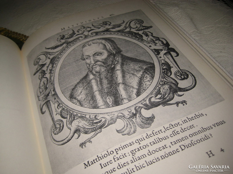 Zsámboki sambucus john 1531-1584 the icones reprint