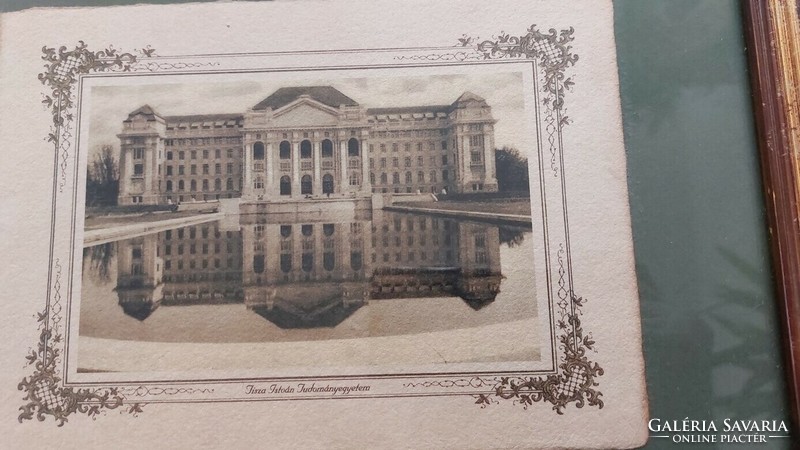 (K) Tisza István University of Science old print or engraving 36x30 cm with frame