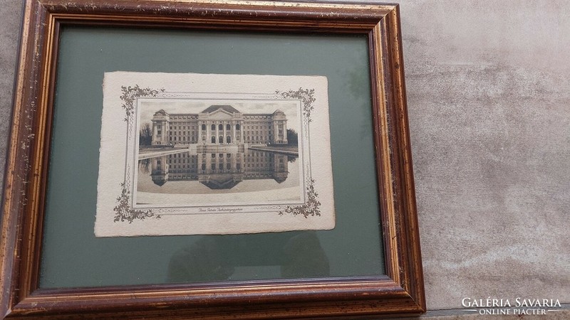 (K) Tisza István University of Science old print or engraving 36x30 cm with frame