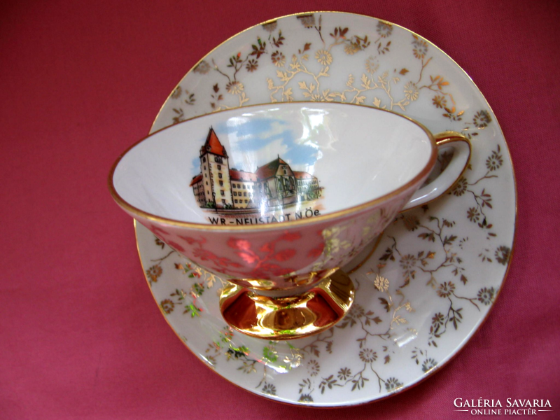 Collectible wiener neustadt akademie eigl porcelain souvenir cup