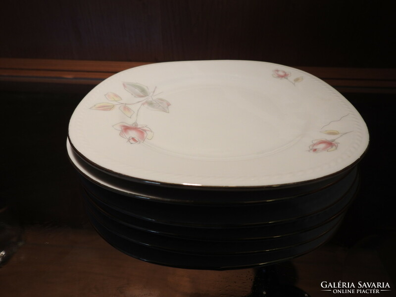 Set of 6 German plates with a rose pattern