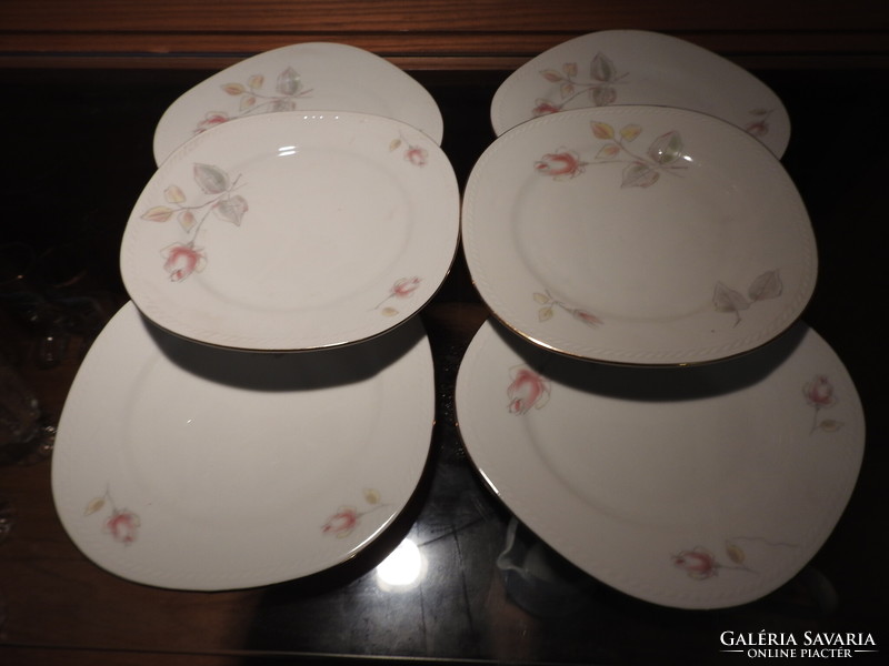 Set of 6 German plates with a rose pattern