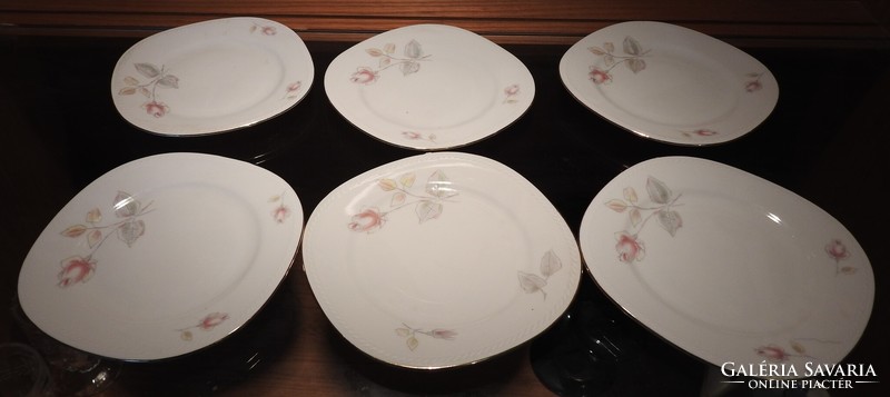 Set of 6 German plates with a rose pattern