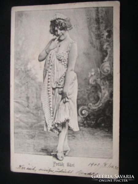 Zsza Fedák Sári prima donna actress heart artist photo sheet approx. 1904